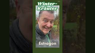 🌱 Winterharte Kräuter – 100 grüne Helden im Garten 💪❄️ winterkräuter garten winterhart [upl. by Hesper735]