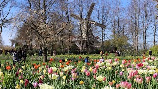 Visiting Keukenhof 2022  The worlds largest tulip garden  4K [upl. by Ahsenrat]