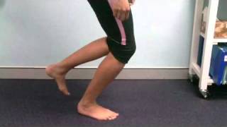 17 Physiotherapy North Sydney Patella Tendon Injury Exercise [upl. by Kempe]