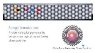 New HPLC Column Technology with Accucore HPLC Columns [upl. by Izy950]