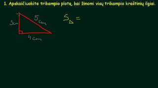 Stataus trikampio plotas [upl. by Mcconaghy]