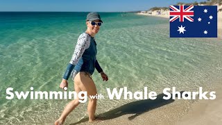 Exploring Western Australia  Seeing my first shark [upl. by Eemla]