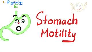 The Stomach  Gastric motility amp Receptive relaxation  Gastrointestinal GI Physiology Series [upl. by Ardnaiek]