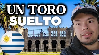 URUGUAY  Capítulo 2 🇺🇾 [upl. by Winou]