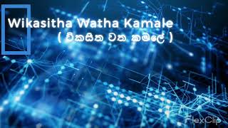 Shashi vs Maneesha Wikasitha Watha Kamale විකසිත වත කමලේ Battle Rounds The Voice Sri Lanka [upl. by Lyford]