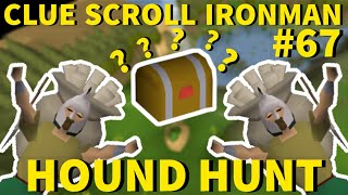 I HIT THE MEGA RARE TABLE AGAIN  Clue Scroll Ironman 67 Hound Hunt [upl. by Elfont563]