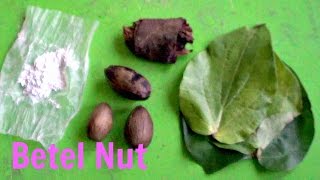 Betel Nut Areca Palm Review  Weird Fruit Explorer Ep 100 [upl. by Frasquito]