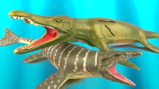 Dinosaur Fight PLIOSAURUS vs MOSASAURUS Reptiles Battle Jurassic SuperFunReviews [upl. by Frye193]