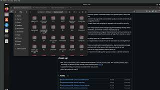 How to install Hydrus Network on Ubuntu  X11 [upl. by Tolmann]