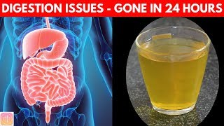 10 Ways to Improve Digestive System  Get INSTANT Boost Naturally [upl. by Suiremed]