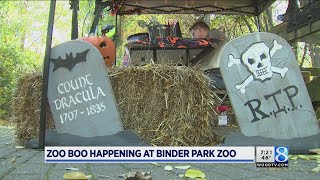 Zoo Boo happening at Binder Park Zoo [upl. by Esidnac]