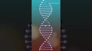 The Crucial Role of DNA Polymerase in DNA Replication [upl. by Reese]