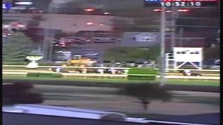 Zenyatta first ever defeat 2010 Breeders Cup Classic [upl. by Crespo549]