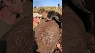 Baby Elephant And Mom Are Stuck In A Well Full Of Water  The Dodo [upl. by Odnomra39]