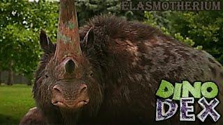 dino dex elasmotherium screen time [upl. by Ahaelam]