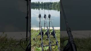 ROC XRS Run 💥🖤♥️ Love this 🥰 carpfishing fishingtackle fishing carprun carpruncompilation [upl. by Malynda240]