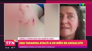 Una tararira atacó a un niño en el río de Anisacate [upl. by Mady]