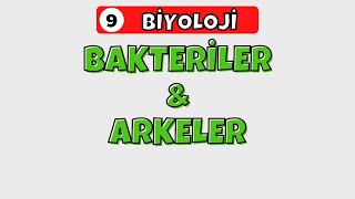 9Sınıf Biyoloji  Bakteriler amp Arkeler [upl. by Nirihs518]