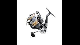 An Affordable Reel Recommendation  Daiwa LT 3000C [upl. by Anitnegra3]