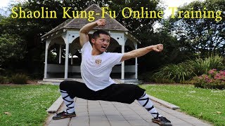 Shaolin Lian Huan Quan Online Training Tutorial Part 1 少林连环拳 Martial Arts for beginners [upl. by Glyn]