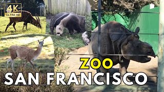 Tour of the San Francisco Zoo from the sky [upl. by Eirrem]