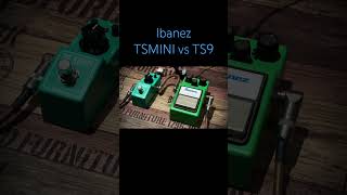 Ibanez TSMINI vs TS9 guitar effector ibanez effects stratocaster [upl. by Oiretule]