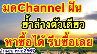 มดฝัน ย้ำล่างตัวเดียว หาซื้ิได้รีบซื้อเลย 1กุมภาพันธ์2567 [upl. by Wesa143]