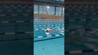 Efficient freestyle swimming swimming [upl. by Hiltner71]