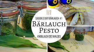 BÄRLAUCH PESTO  Saisonstart Knoblauch des Waldes DIY frischer Brotaufstrich [upl. by Jeno]