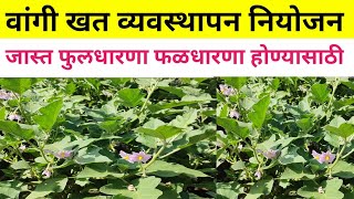 vangi khat vyavasthapan vangi khat niyojan वांगी खत नियोजनव्यवस्थापन वांग्याला कोणता खत द्यावे [upl. by Dowling]