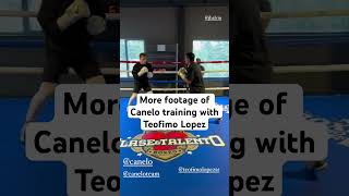 More footage of Canelo Alvarez training with Teofimo Lopez shorts shortsvideo shortvideo short [upl. by Ahseuqram261]