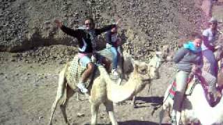 Super Safary Cammellata a Sharm El Sheikh Gennaio 2012 Parte 3 [upl. by Aicenad215]