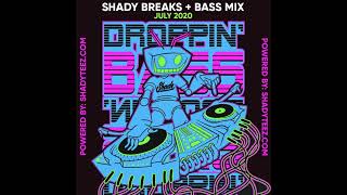 Shade  Shady Breaks  Bass July 2020 Mix [upl. by Oruhtra284]