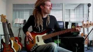 Heavy Overdriven Fretless Bass [upl. by Akener]