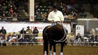 Clinton Anderson show The horses quot5 body partsquot [upl. by Marcelle]