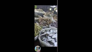 Rosalia Catud Vlog is liveMapagpalang Gabi sa lahatDried fish yummy [upl. by Malchy]