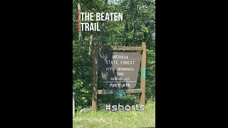 Michaux state forest SHORTS  PA ATVSXS trails for class 1 machines 50quot width limit [upl. by Danyette]