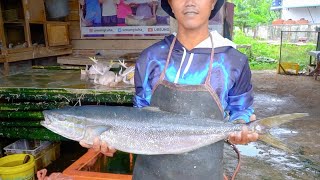 AGE 16 INCREDIBLE TECHNIQUES FISH CUTTING SKILLS FOR RESTAURANT  FISH MARKET ACEHNESE🔪🔥 [upl. by Barnett]