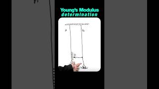 Searles Apparatus Experiment for Young Modulus [upl. by Devina]