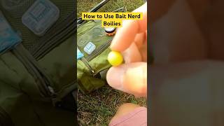 How to Use baitnerd Boilies to Catch Carp  Setup With Boilie Spikes [upl. by Eiral707]