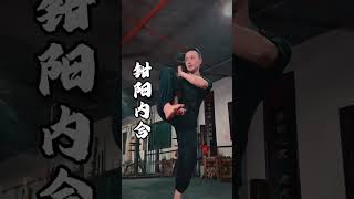 3 methods of exerting force wingchun vingtsun kungfu selfdefense 咏春 咏春拳 詠春拳 詠春 功夫 [upl. by Tabbi]