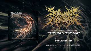 SPARGANUM PROLIFERUM  Trypanosoma NEW SONG 2020  Underrated Records [upl. by Gaidano]