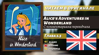 ЧТЕНИЕ НА АНГЛИЙСКОМ  Алиса в Стране чудес quotГлава 23quot оригинал [upl. by Berlauda]