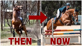 FROM RACEHORSE TO RIDING HORSE  Rockys 1 year progress  The good the bad the very ugly [upl. by Eimirej]