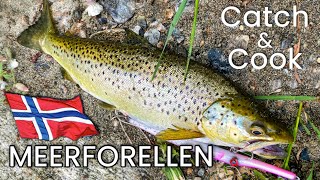 Meerforellen Seatrouts Catch n Cook in Norwegen [upl. by Ranger]