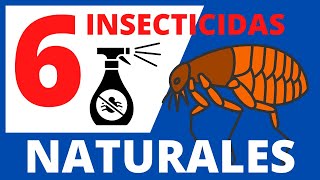 ⭐ 6 Insecticidas naturales para pulgas REPELENTES ANTIPULGAS  REMEDIOS CASEROS [upl. by Ezzo336]