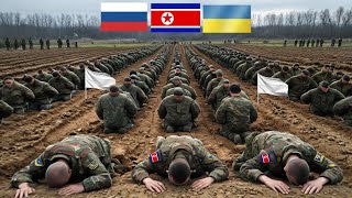 1 minute ago In Ukraine White Flag Raised All North Korean Soldiers Have Surrendered [upl. by Adar917]