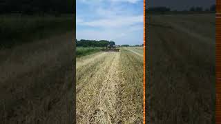 No till soybeans into rye cover crop stubble [upl. by Rusel]