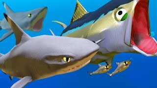 New BlackTip Shark vs New Tuna  Feed and Grow Fish  Part 66  Pungence [upl. by Tem]