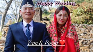 Gurung culture wedding in village  Nepali wedding  Yam weds Pooja  gurungculture [upl. by Staal]